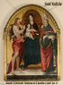 images/sampledata/gall_terri/marana/5euti.png
